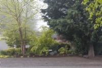 Des couches d'arbres à feuilles caduques et à feuilles persistantes, d'arbustes et de plantes vivaces filtrent la vue de la maison et du coin salon privé depuis la rue