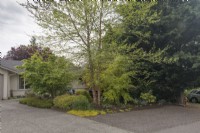 Des couches d'arbres à feuilles caduques et à feuilles persistantes, d'arbustes et de plantes vivaces filtrent la vue sur la rue du coin salon privé dans le jardin de devant