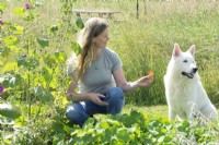 L'agricultrice urbaine Ellen Willems avec son chien dans le jardin d'herbes aromatiques montrant Tropaeolum majus.