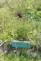 Panneau en bois peint à la main : fleurs comestibles, en néerlandais, dans le jardin d'herbes aromatiques.