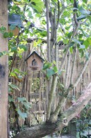 Maison d'oiseau sur la limite de l'écran de bambou, vue à travers l'arbre.