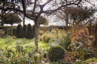 Jardin de campagne en novembre avec des conifères et des couleurs d'automne