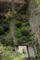 Regardant vers le bas dans le jardin étroit de Loftus Road, sur la terrasse près de la maison. Les plantes comprennent : Buxus sempervirens, Pittosporum 'Tom Thumb', Anemanthele lessoniana et Fagus sylvatica.