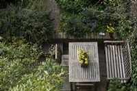 Regardant à travers les feuilles de bambou sur la table de jardin, qui a un pot de Narcisse « Hawera » au centre. En arrière-plan, Rosmarinus officinalis prostratus pousse le long d'un mur de jardin.