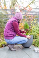 Femme plantant des bulbes entre les plantes dans le pot