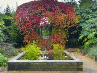 Vitis coignetiae Crimson glory vine jardin exotique pergola à East Ruston Old Vicarage gardens Norfolk