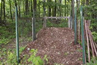 Transformer les feuilles et les brindilles en décomposition en compost dans le jardin au printemps - Mai