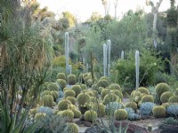 Photo en soirée de Desert Garden au Huntington Botanical Gardens avec un assortiment de cactus et de succulentes
