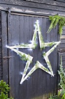 Étoile en bois avec guirlandes lumineuses et brins de cèdre sur mur en bois noir