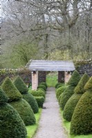 Chemin à travers le jardin formel à Perrycroft, Herefordshire en mars encadré par topiaire d'if coupé