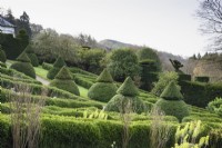 Jardin formel d'ifs taillés et fort parterres à Perrycroft, Herefordshire en mars