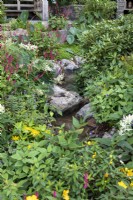 Persicaria, Inula et Rhododendrons dans le jardin au bord du ruisseau, RHS Chelsea Flower Show 2021, Trailfinders Garden