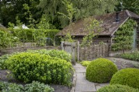 Un chemin pavé simple bordé de briques mène à travers un jardin de style cottage avec des sphères topiaires Box Ball et un chemin bordé de briques
