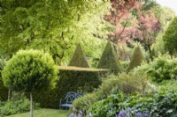 Jardin à la française de l'ancien presbytère, Netherbury, Dorset en mai avec des lauriers portugais sucette, Prunus lusitanica, et des ifs taillés