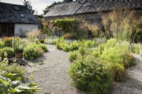 Cour intérieure à Am Brook Meadow dans le Devon en juin avec plantation de Stipa gigantea, Stachys byzantina et Geranium psilostemon.