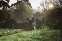 Jardin sauvage au-dessous du jardin à la française de Balmoral Cottage, Kent en avril, parsemé de jonquilles.