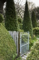 Gate entre les zones du jardin à Balmoral Cottage, Kent en avril encadrée avec clippé fort.
