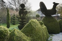 Topiaire d'if et de buis à Balmoral Cottage, Kent en avril créé par Charlotte Molesworth