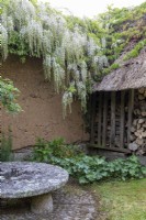 Mur en torchis et bûche en bois dans le jardin avec Wisteria floribunda 'Alba' en cascade. Meule de granit en premier plan.