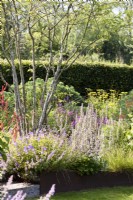 Parterre d'été de plantes vivaces herbacées à College Barn, Somerset en juillet