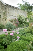 Jardin du manoir des Cotswolds, roses