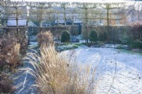 Vue sur le jardin de la ville en hiver avec des graines dans des parterres herbacés à côté du chemin. Topiaire en buis et érables des champs plissés, Miscanthus sinensis 'Yakushima Dwarf'. Janvier