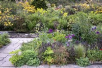 Foeniculum vulgare, Fenouil, Penstemon 'Dark Towers', Euphorbia et Forget Me Nots dans des parterres de jardin de cottage débordant sur une terrasse pavée