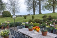 Donnant sur la pelouse vers la campagne, vu de la table sur la terrasse, entouré de parterres de tulipes et de pots de printemps.