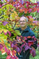 Stephen Lloyd, chef jardinier chez Hergest Croft, taillant un arbre Neoshirakia japonica.