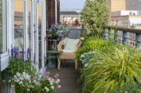 Un balcon étroit avec une chaise est bordé de jardinières de plantes à feuilles persistantes et de marguerites à fleurs, de nemesias, de salvias et de pétunias.