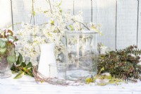 Grands et petits pots en verre, eau, plumes, saule, bâtons de bouleau, brindilles couvertes de lichen, brins d'hébé et bâtons de prunellier en fleurs disposés sur une table