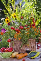 Pot en osier planté de tomates, poivrons et fleurs annuelles sur la table.