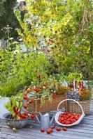 Culture en pot de tomates, poivrons et fleurs annuelles sur terrasse.