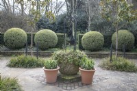 Cour avec boules topiaires au Winterbourne Botanic Garden