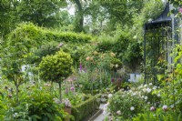 Jardin de ville isolé avec des roses, des pivoines, des digitales et un laurier dans un pot en terre cuite. Juin