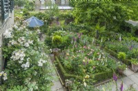 Vue aérienne du jardin de la ville fortifiée formelle avec des digitales, des pivoines, des roses et des clématites. Rosa 'Francis E. Lester' s'est entraînée sur le mur de la maison. Juin