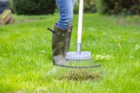 Femme scarifiant la pelouse pour enlever la mousse
