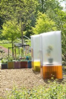 Pots de plantes et serres transparentes colorées modernes.