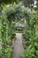 La pergola ouest du jardin de Hamilton House en mai