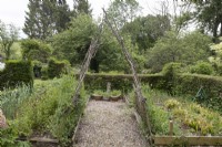Une arche rustique faite maison soutenant des pois de senteur sur un chemin de gravier à côté de parterres de fleurs surélevés. Lewis Cottage, jardin NGS Devon. Le printemps.