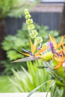 Strelitzia - Crane lily dans un bouquet
