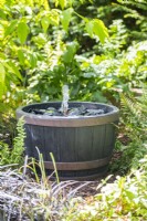Fontaine à eau simple en ardoise dans un parterre ombragé