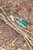 Sécateurs, ciseaux, ficelle, bâtons de bouleau et de noisetier disposés au sol