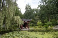Haren Groningen Pays-Basjardins d'ornement chinois dans le Jardin Botanique Botanische tuin