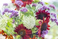 Bouquet contenant Helianthus 'Velvet Queen' - Tournesols, Ammi visnaga et Verveine bonariensis