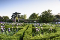 Le West Garden à Doddington Hall près de Lincoln en mai où un fort parterre est plein d'iris barbus
