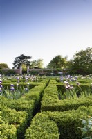 Le West Garden à Doddington Hall près de Lincoln en mai où un fort parterre est plein d'iris barbus