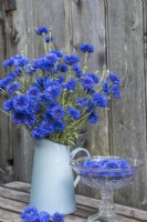 Centurea cyanus dans une verseuse en émail bleu et un bol en verre de fleurs flottantes