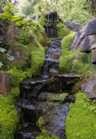 Rochers couverts de Soleirolia soleirolii - Babys larmes autour d'une chute d'eau en cascade dans le jardin de rocaille à Newby Hall Gardens