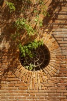 Grille circulaire en maçonnerie ancienne patinée surmontée d'un feuillage de glycine. La lumière du soleil crée des ombres sur le mur.